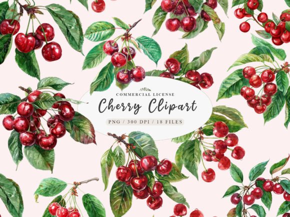 Download Cherry Fruit Clipart, Berries Cherry - Berries Collection