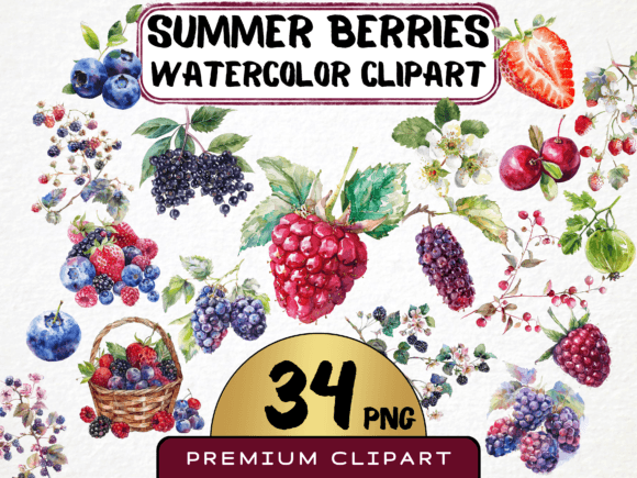 Download Watercolor Berries Clipart Bundle - Berries Collection