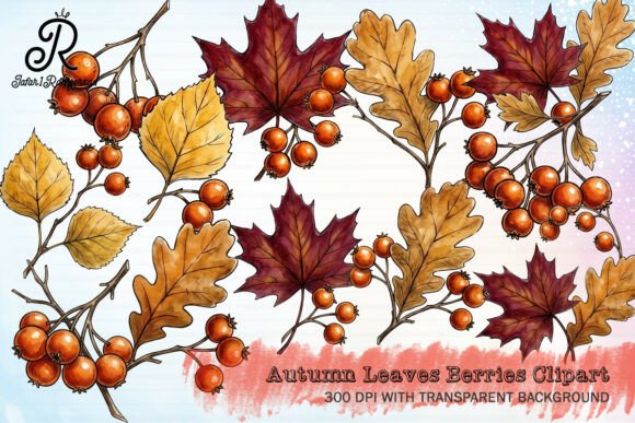 Download Autumn Leaves Berries Clipart - Berries Collection