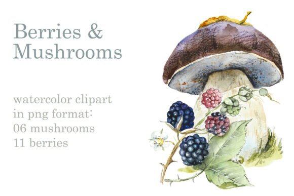 Download Berries &amp; Mushrooms Clipart - Berries Collection