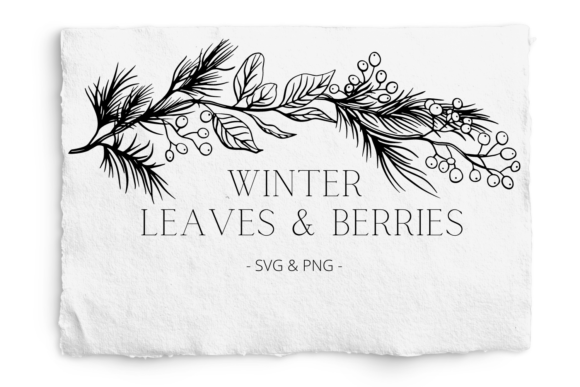 Download Winter Leaves and Berries SVG and PNG - Berries Collection